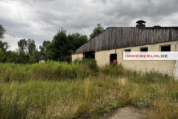 IMMOBERLIN.DE - 5,3 Hektar für die Land- und/oder Forst- bzw. Energiewirtschaft