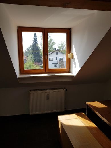 Gaube im Wohnzimmer