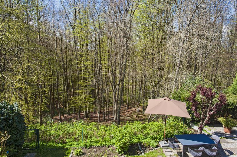 Terrasse mit eigenem Wald
