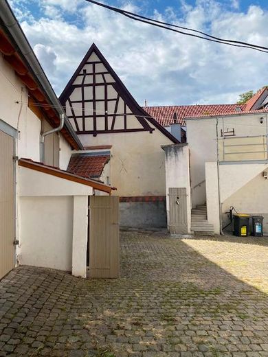Charmantes Bauernhaus im Ortskern von Bodenheim – Hofansicht
