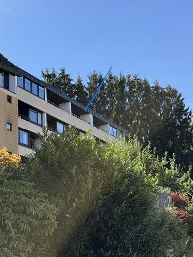 Appartment mit traumhafter Aussicht  im Sternedorf Baiersbronn – Hausansicht seitlich