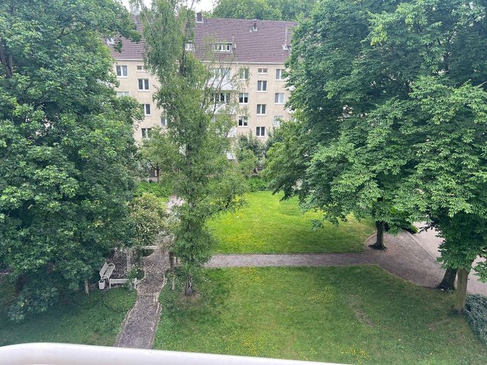 Blick in den Garten