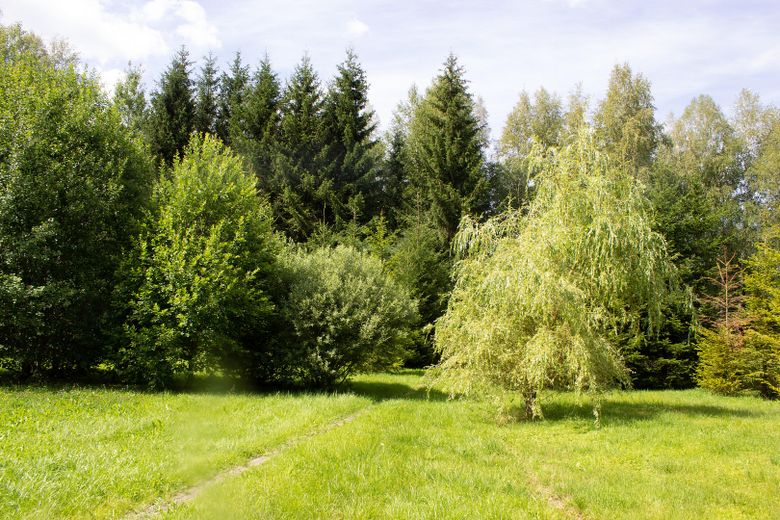 Wolnostojący dom jednorodzinny w idyllicznej lokalizacji – Foto 26