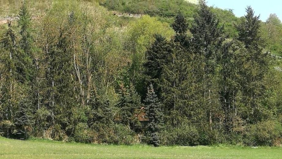 Ferienhaus, idyllisch gelegen – Ansicht Wochenendeplatz