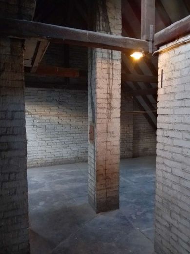 ausbaufähiges Studio DG