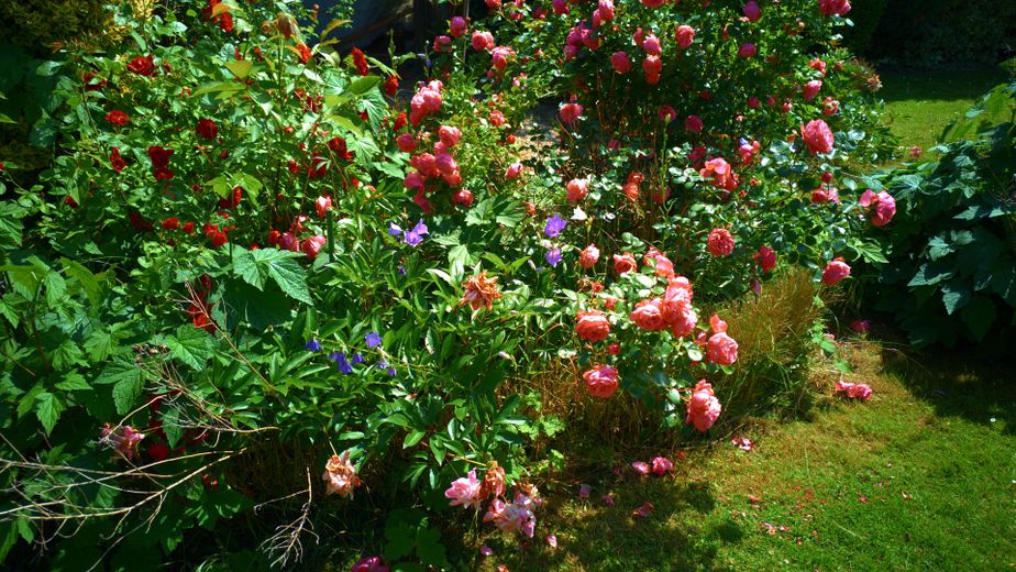 Vrijstaande eengezinswoning in Bargteheide met zelfstandige woonruimte en bouwgrond - zonder makelaarskosten – Garten Hauptwohnung