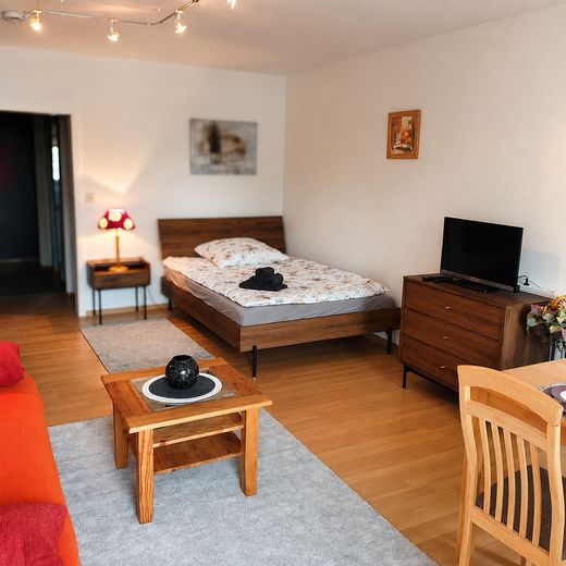 Möbliertes 1 Zimmer Wohnung mit Balkon, Stellplatz und Pauschalmiete – Wohnraum