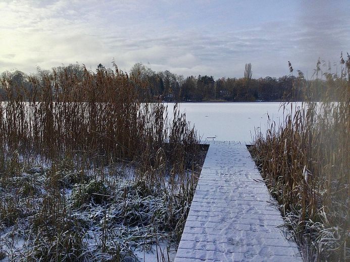 Steg zum See
