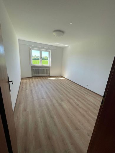 Anwesen mit Einfamilienhaus inkl. ELW & zweitem Wohnhaus, Garagen, Carport, Scheune & Werkstatt – Foto 28