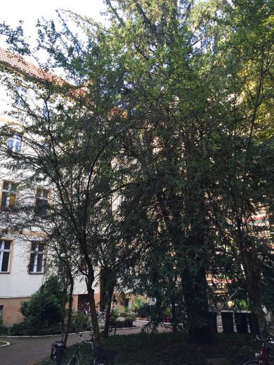 Innenhof Gartenhausansicht