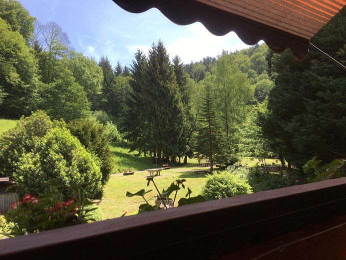 Inwestycja kapitałowa – apartament wakacyjny / inwestycja Airbnb w Sasbachwalden – Foto 2