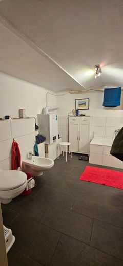 Charmantes kleines Altbremer Reihenendhaus mit Garage in Peterswerder – Souterrain Bad