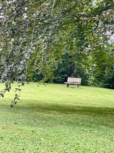Historisches Wohnen im Park, Seenähe, gute Lage - von Privat – Impressionen