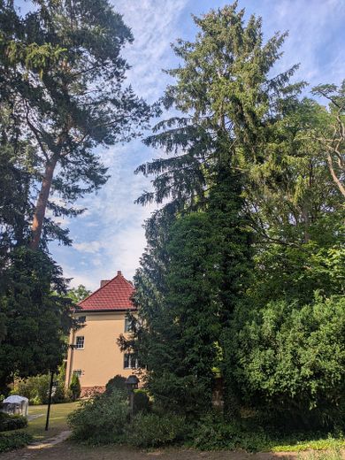 Kein Neubauwürfel, kein 08/15, Berliner Altbau-Schätzchen m. 1010m² Grundstück s. Menschen m. Ideen – Weitblick auf Haus Original