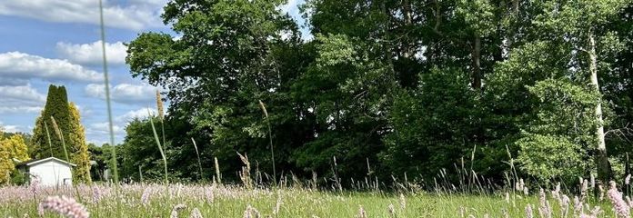 Natur Pur