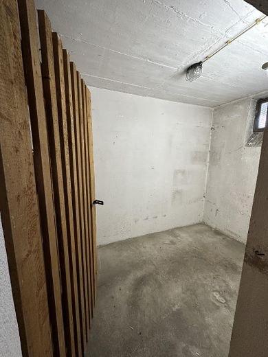 Frisch renovierte 2,5-Zimmer-Wohnung mit Blick ins Grüne in Erlenstegen – Kellerabteil