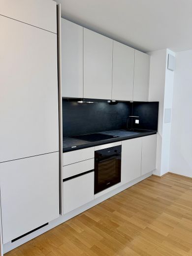 Luminosissimo appartamento di 2 locali di altissima qualità, metropolitana/tram a 3 min, con wallbox/climatizzazione/cucina nuova, vicino al parco – Neue Küche