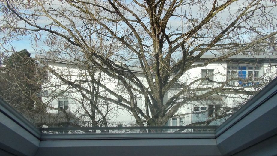 Lauschige 2-Zi.-Süd-DTW mit enormer Weite - zwischen Ortszentrum und altem Ortskern – Schlafzimmer - Dachfenster