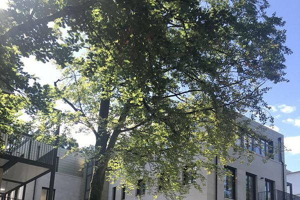 Dreieich Buchschlag - ¡De alta calidad y lujoso con carácter wow! Pisos de obra nueva directamente junto al bosque