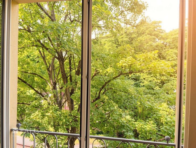 Mitten in der Stadt, direkt im Grünen - gepflegte 2-Zimmer-Wohnung mit besonderem Ausblick – Balkonaussicht