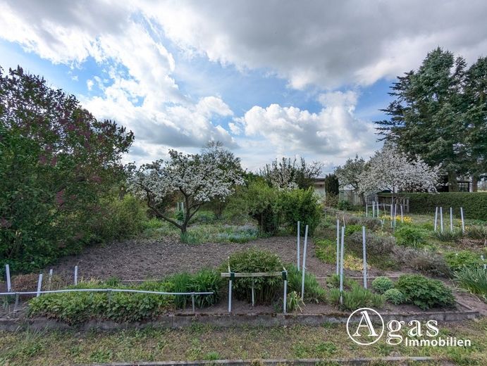 Großes Gartengrundstück mit Laube am Ortsrand von Zehdenick (Eigentum - keine Pacht, kein Verein) – Garten
