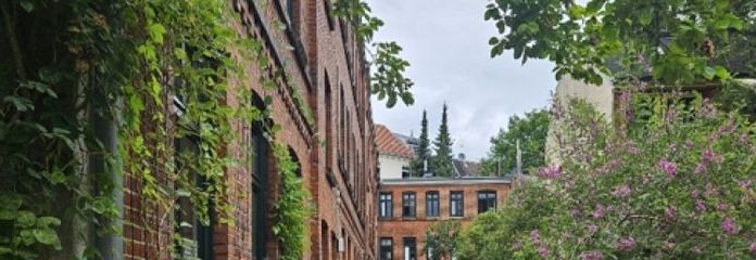 Ottensen: Paketverkauf verm. Wohnungen als Kapitalanlage (7)