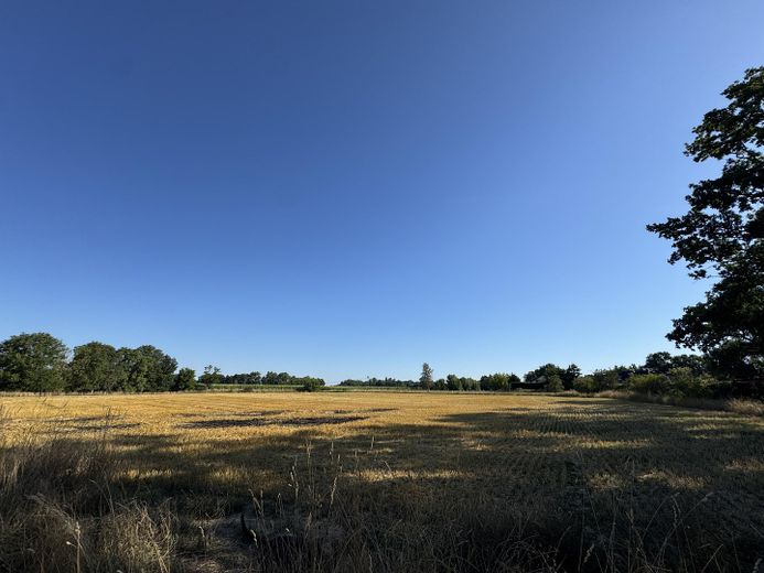 Grundstück im schönen Wiederau - Baupartner für Doppelhaus gesucht – Blick Nord