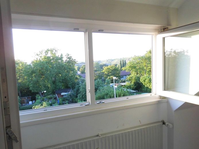 Ausblick DG ins Grüne