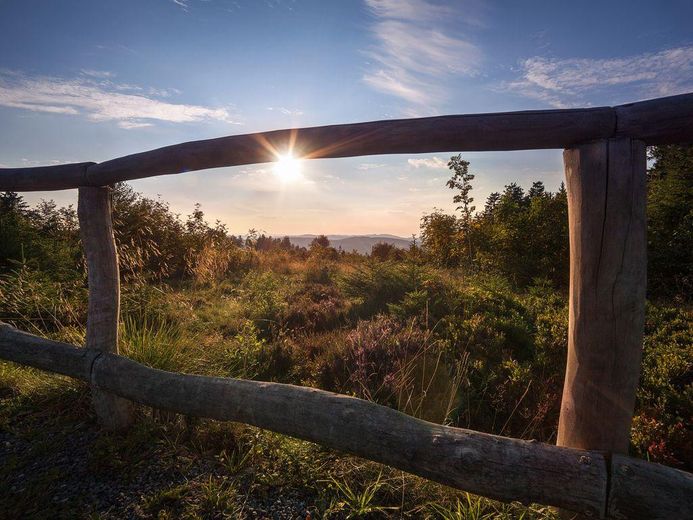 Mediterranes Flair in Winterberg am Hillebachsee PROVISIONSFREI!! – Natur pur