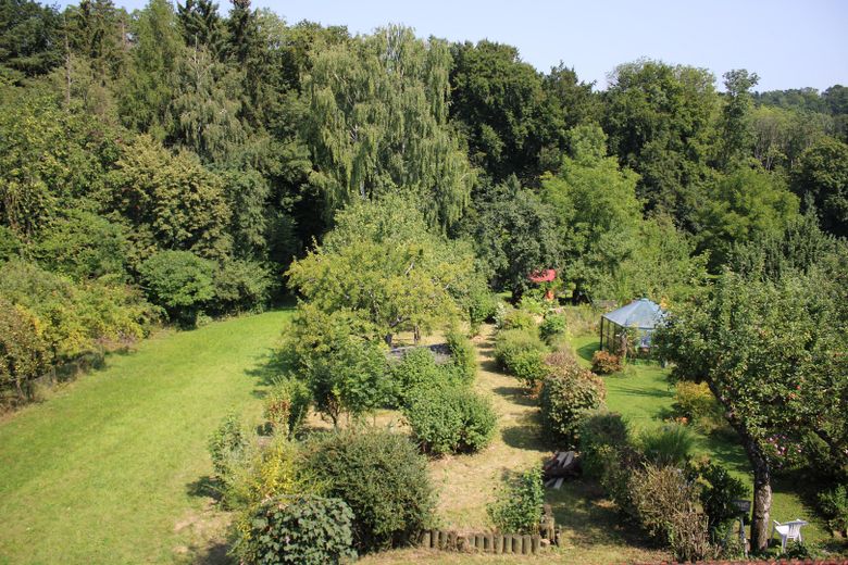 Blick auf den Garten vom Dach