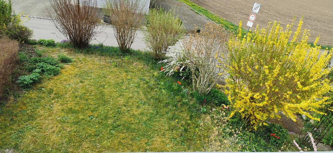 Garten im Süden