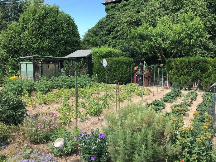 Reihenendhaus mit großen Gartengrundstück und Vollkeller – Foto 4