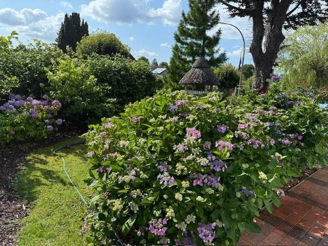 Exclusive country house near Sylt with ambiance & flair – Tolle Bepflanzung