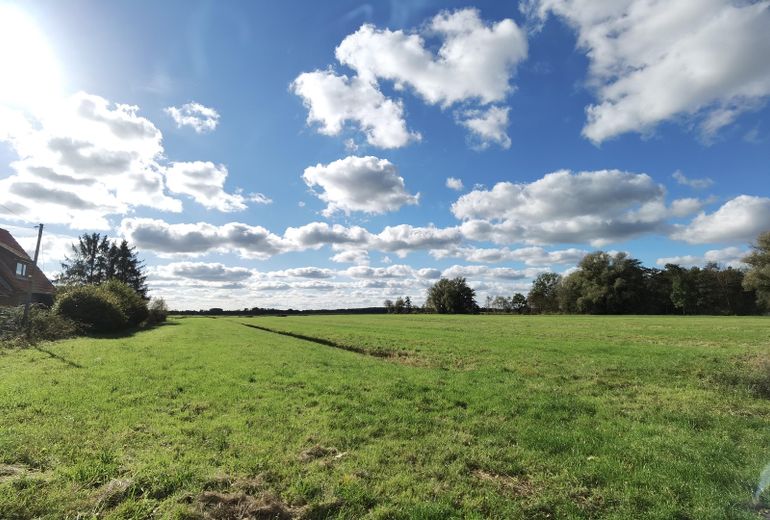 Blick auf die Weiden