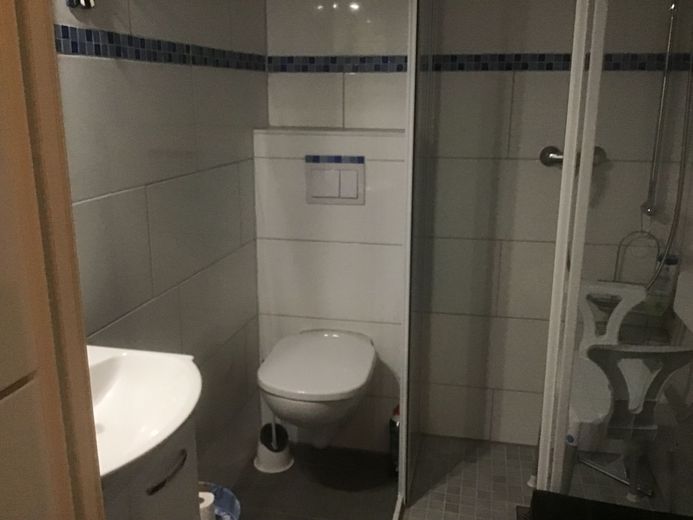 Attraktives Haus mit 2 Wohneinheiten,Idyllisch, Ruhig am Wald,Sauna,Kaminofen – Neues Duschbad kleinere Whg.