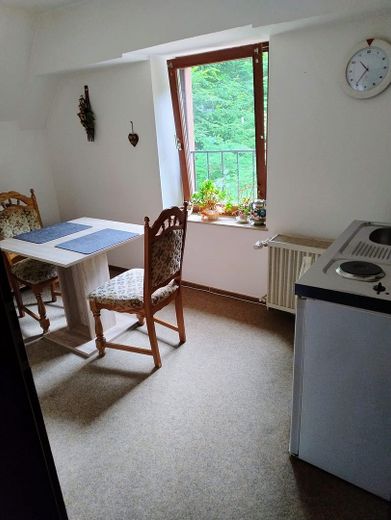 Alleinlage im Pfälzer Wald - hier ist alles ist hier möglich. – Wohnung im Dachgeschoss