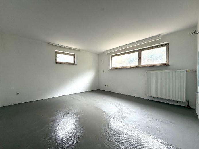 Freistehendes 2-Familienhaus * in MÜHLHAUSEN – Keller, Raum