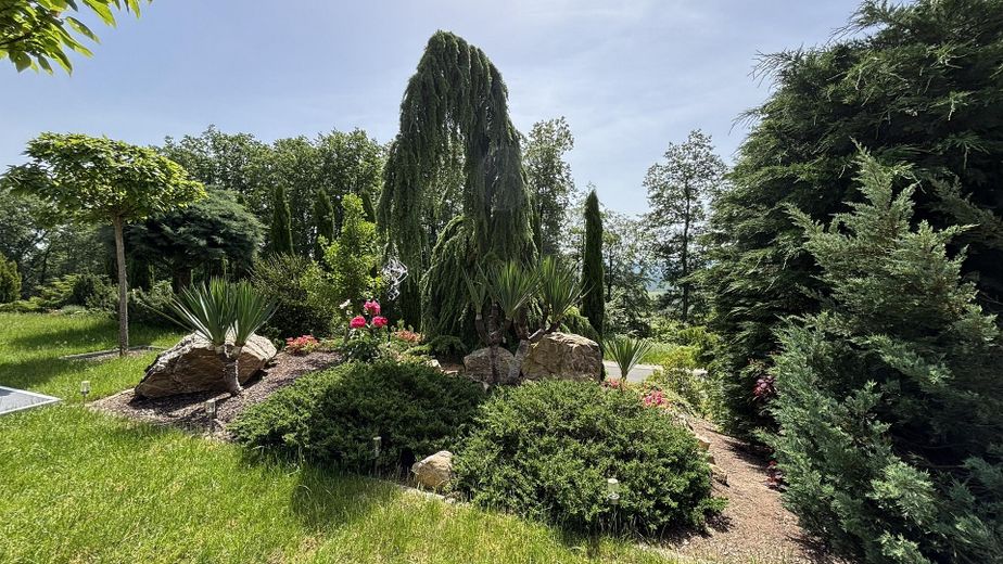 modernes EFH in Stromberg – Garten