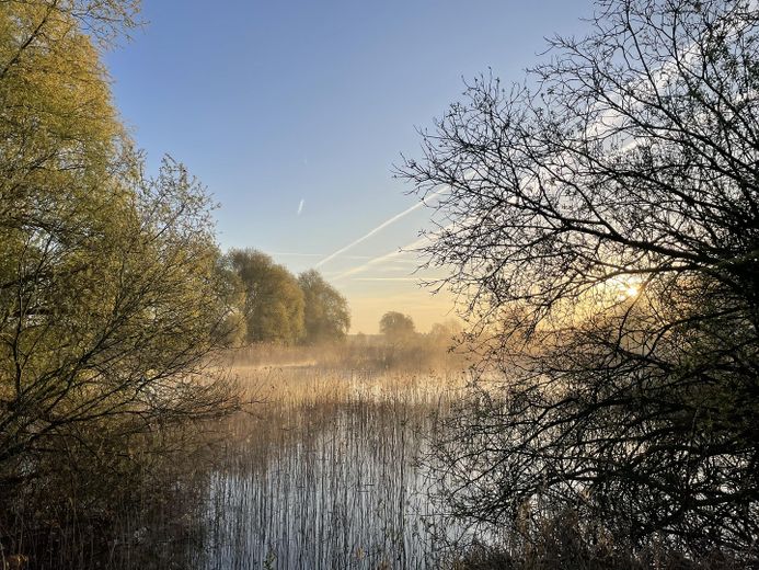 Maison individuelle en excellent état dans un cadre naturel de rêve – Photo 29