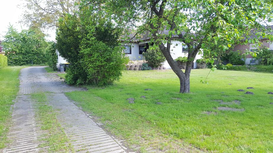 Ideal für Pferdehaltung - Einfamilienhaus, Baugrundstück, Stall und Hausweide / Resthof – Ansicht Südwest