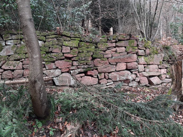 Baugrundstück mit Neckarblick in begehrter Lage von Kleingemünd – Trockenmauer im Garten