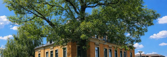 Sanierte Eigentumswohnung in beliebten Wohnviertel von Dresden!!!!