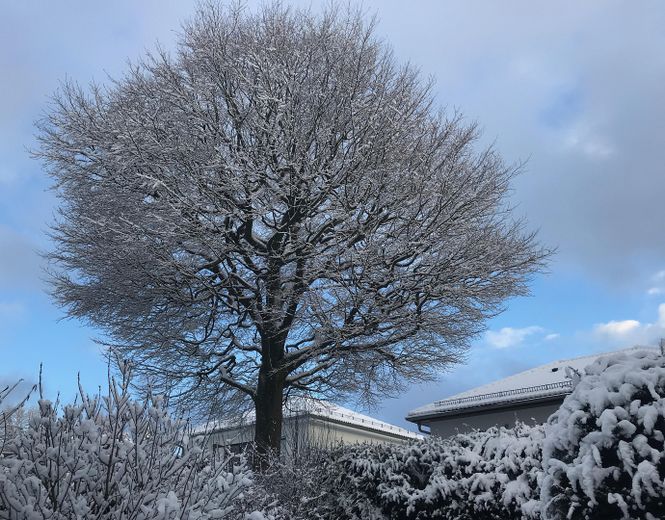 Abitare ai margini del bosco – Gartenblick Winter
