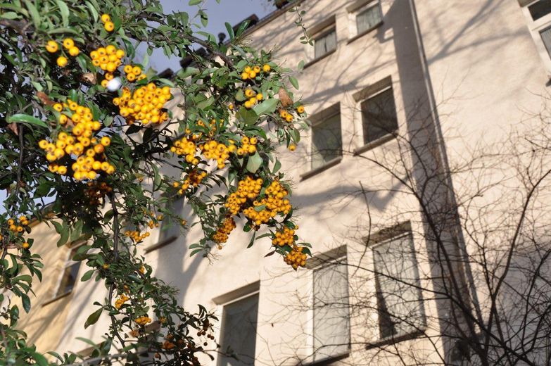 Luksusowe mieszkanie w centrum miasta z tarasem na dachu nad dachami Aue – Hinterhof