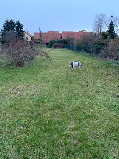 Unstrut Hainich-OT, 2 Wohnhäuser – Foto 5