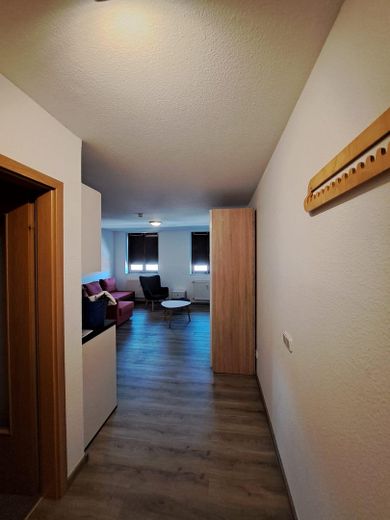 Modern und Gemütlich, Pendlerwohnung, 1-Raum Appartement im Denkmalhof, komplett ausgestattet – Eingangsbereich
