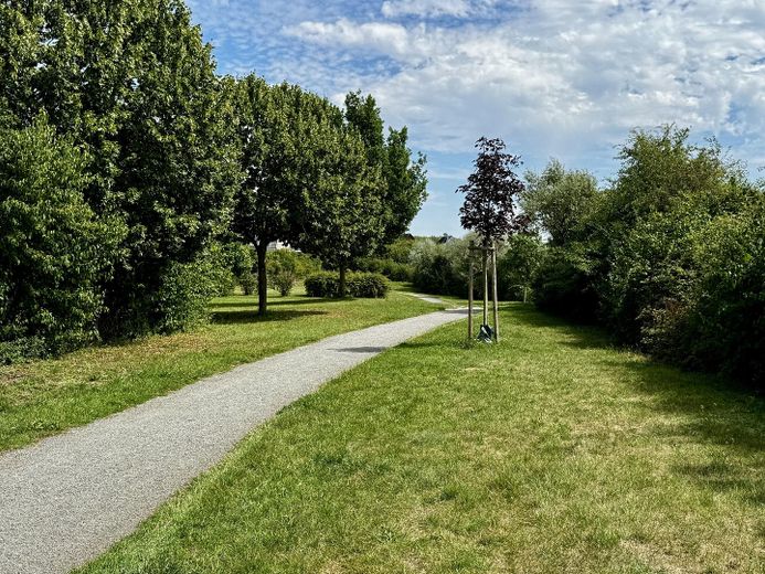 Modernisiertes Einfamilienhaus mit PV-Anlage, neuer Heizung und Traumterrasse – Park fußläufig (2)