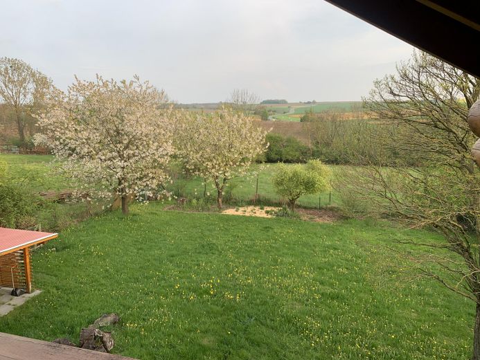 Gartenblick vom Balkon