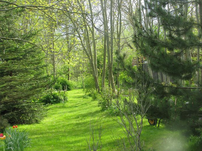 Parkähnliches Gelände