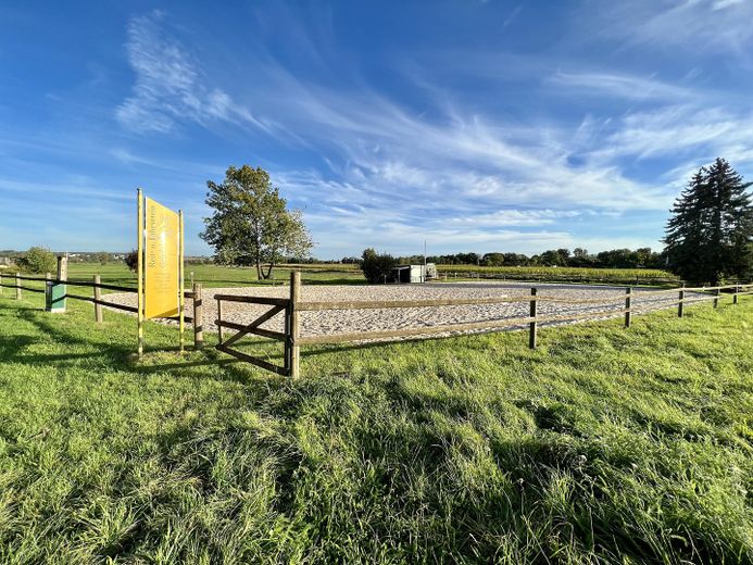 Umgebung: Reitplatz